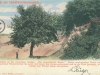 1853