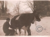 1913