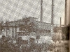 261